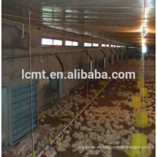 Silo de alimentación de pollo para la casa de aves de corral